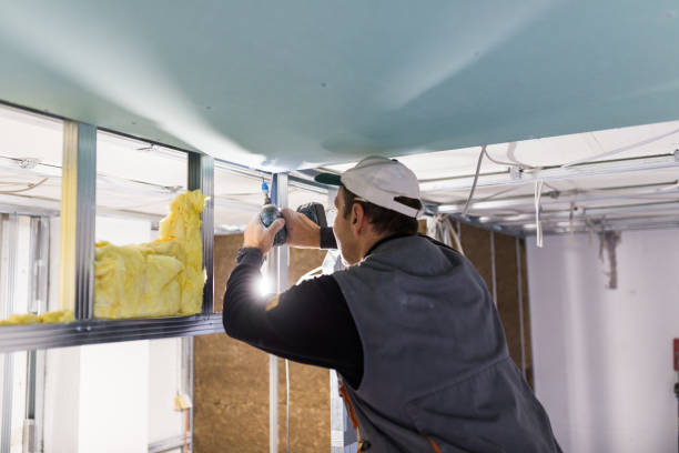 Best Commercial Insulation in Medicine Lodge, KS