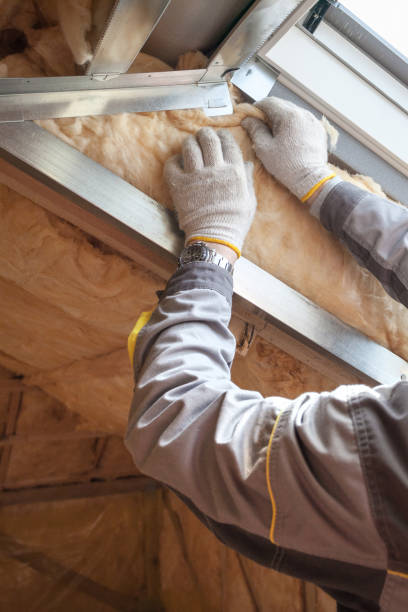 Best Cellulose Insulation in Medicine Lodge, KS
